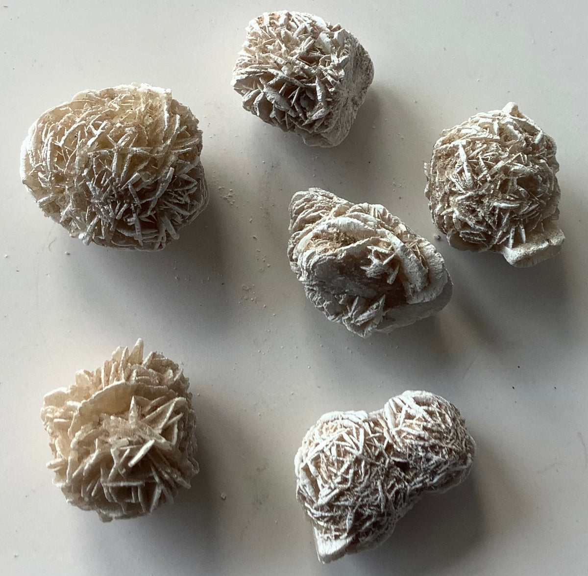 Desert Rose Selenite Stones - 6 clusters