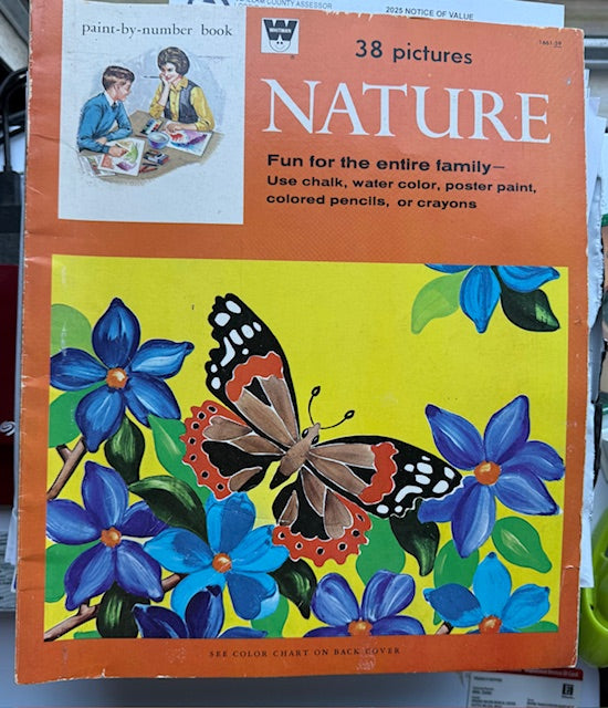 Large Whitman 38 Page Color-by-number Book